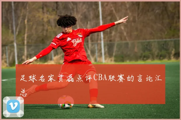 足球名家贾磊点评CBA联赛的言论汇总