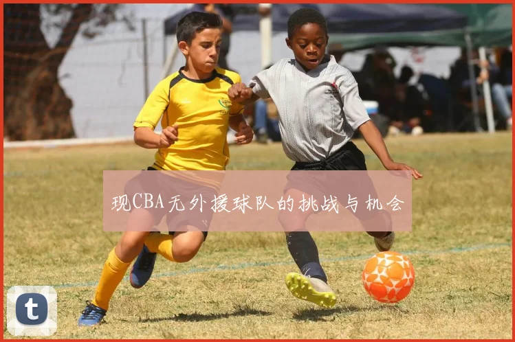 现CBA无外援球队的挑战与机会